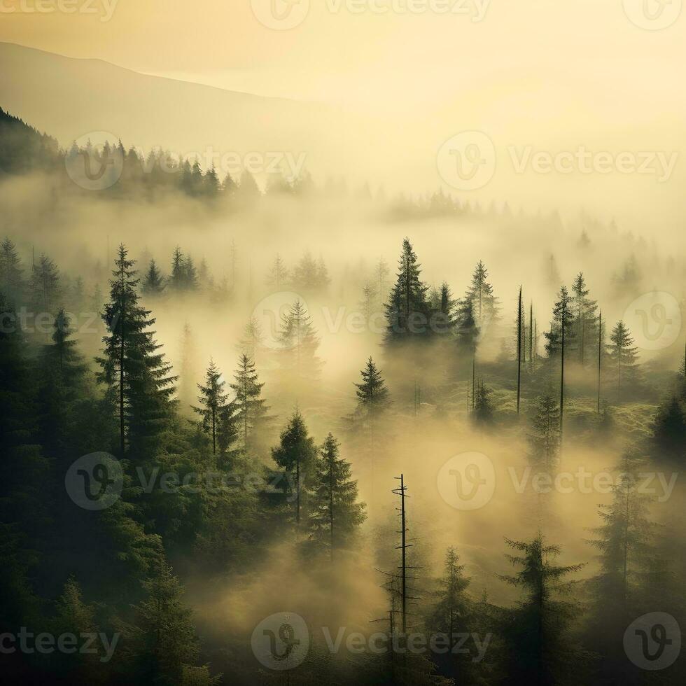 AI generated Misty foggy mountain landscape with fir forest and copyspace in vintage retro hipster style photo