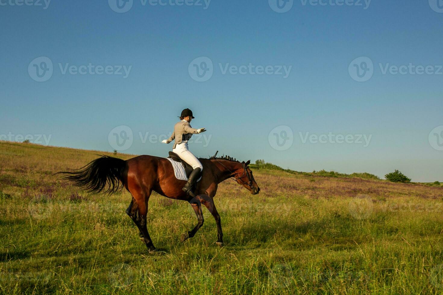 Equestrian sport. Young woman riding horse on dressage advanced test photo