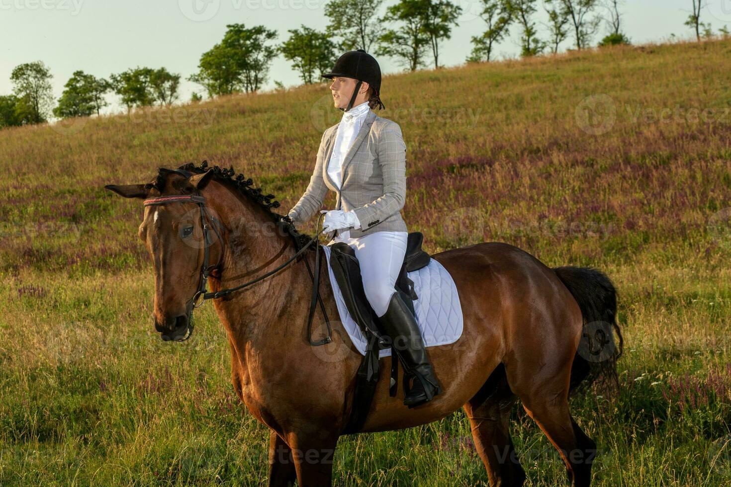 Young woman rider with her horse in evening sunset light. Outdoor photography in lifestyle mood photo