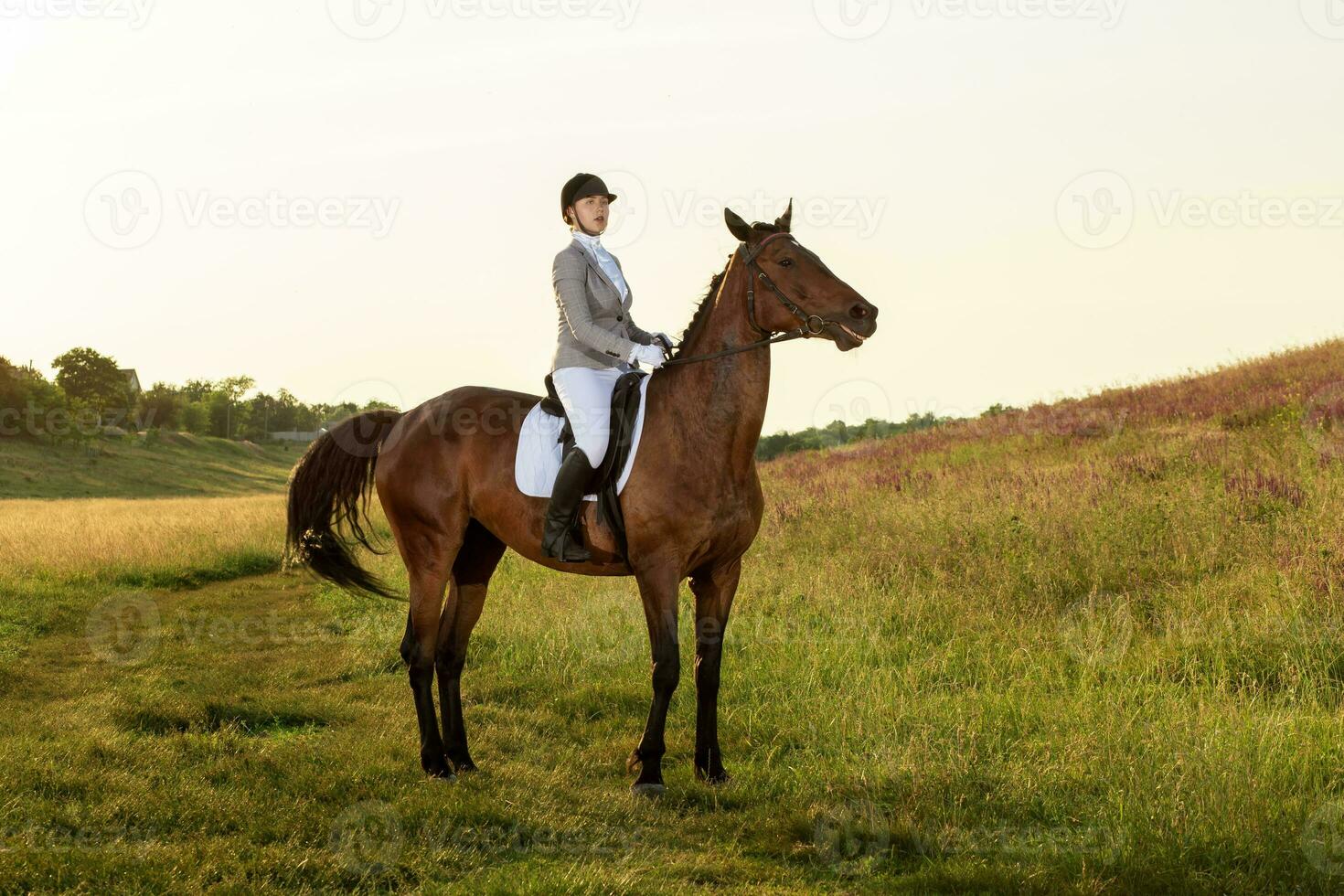 ecuestre deporte. joven mujer montando caballo en entrenamiento de caballos avanzado prueba foto