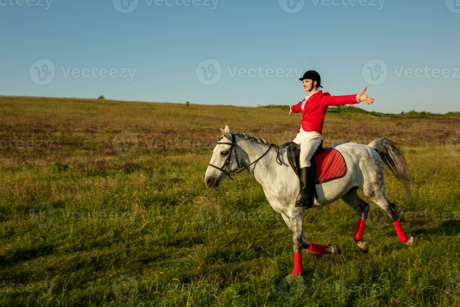 The horsewoman on a red horse. Horse riding. Horse racing. Rider on a horse. photo