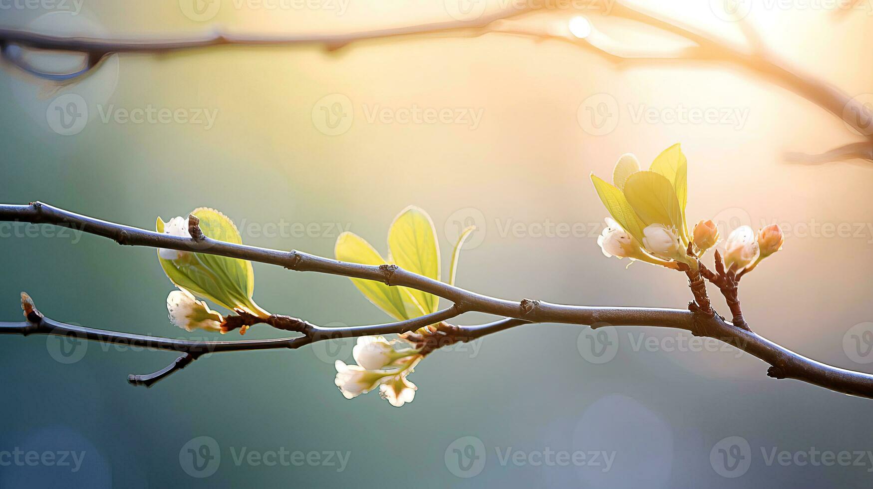 ai generado un árbol rama en temprano primavera con hinchado brotes, en el suave rayos de el Mañana Dom. ai generado. foto