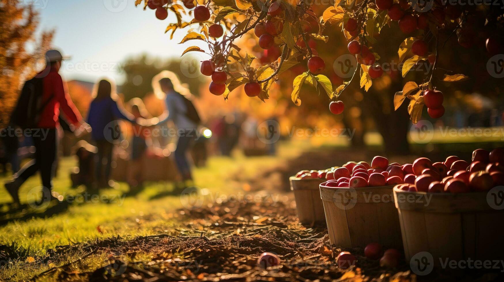 AI generated A bustling autumn apple orchard, families picking fresh apples. Generative AI photo