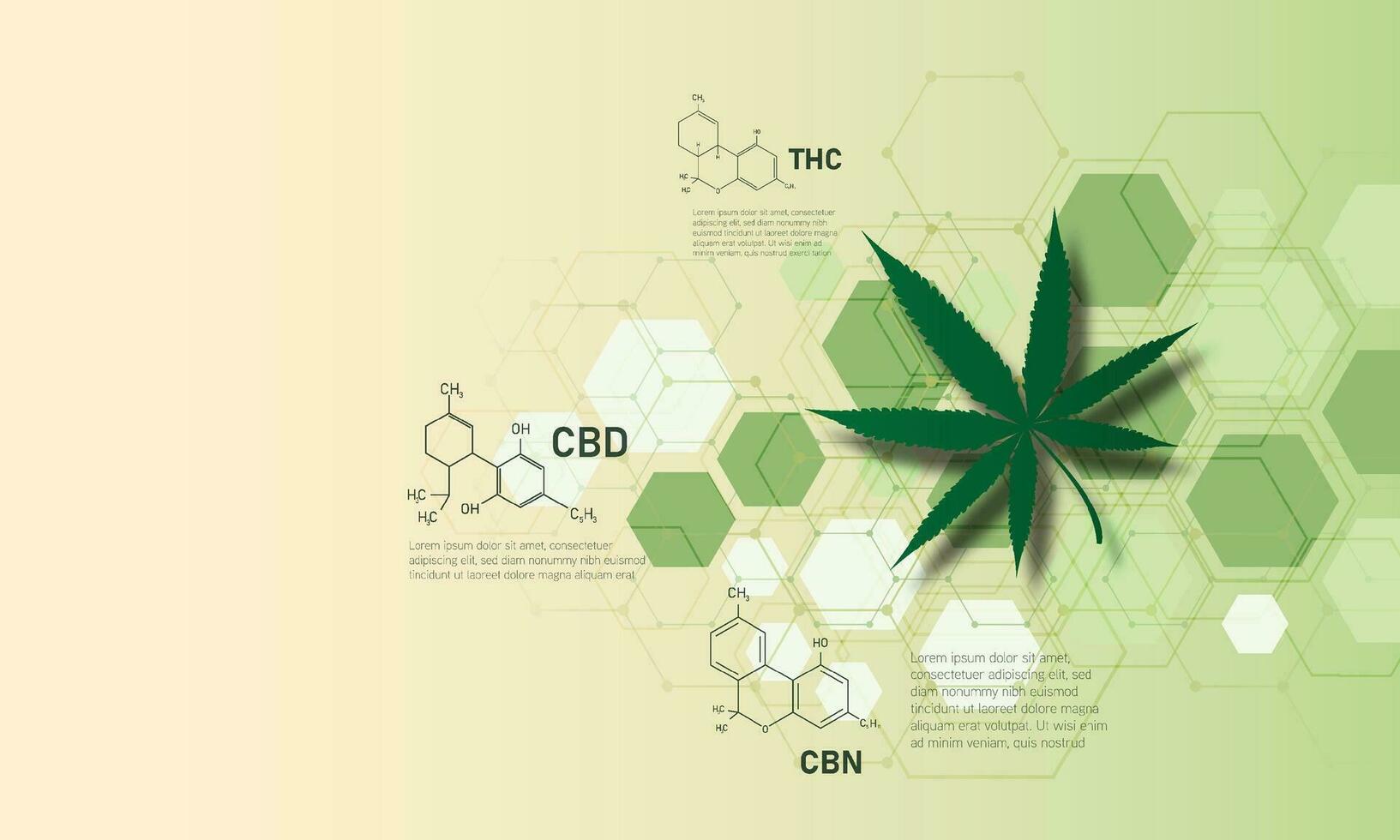 molecular structure medical chemistry formula cannabis of the formula CBD,vector illustration vector