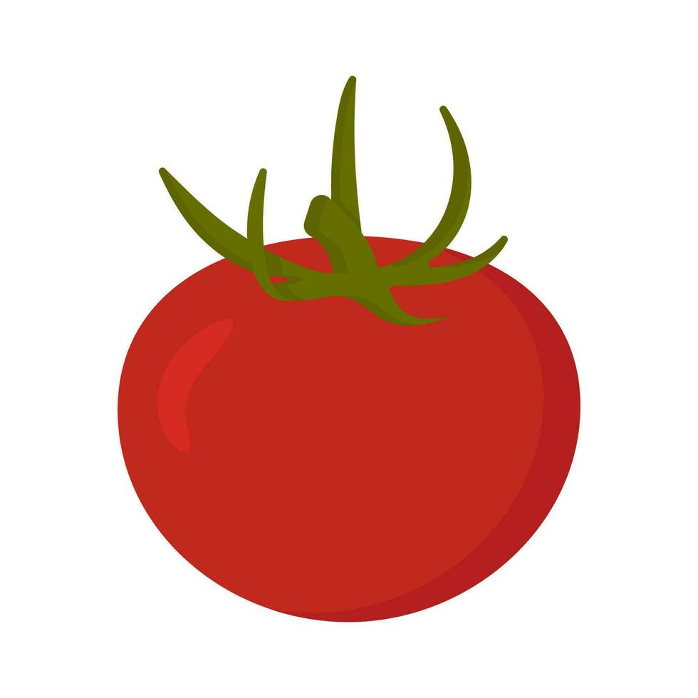 Tomato hand drawn colored isolated icon, Scalable print ready vector illustration in trendy flat style design.