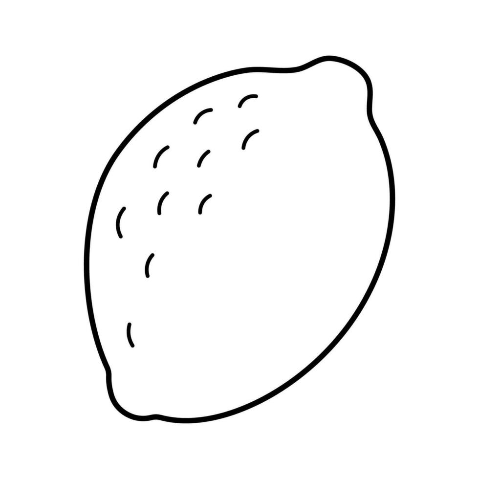Lemon fruit black outline contour isolated on white background, flat design vector illustration.