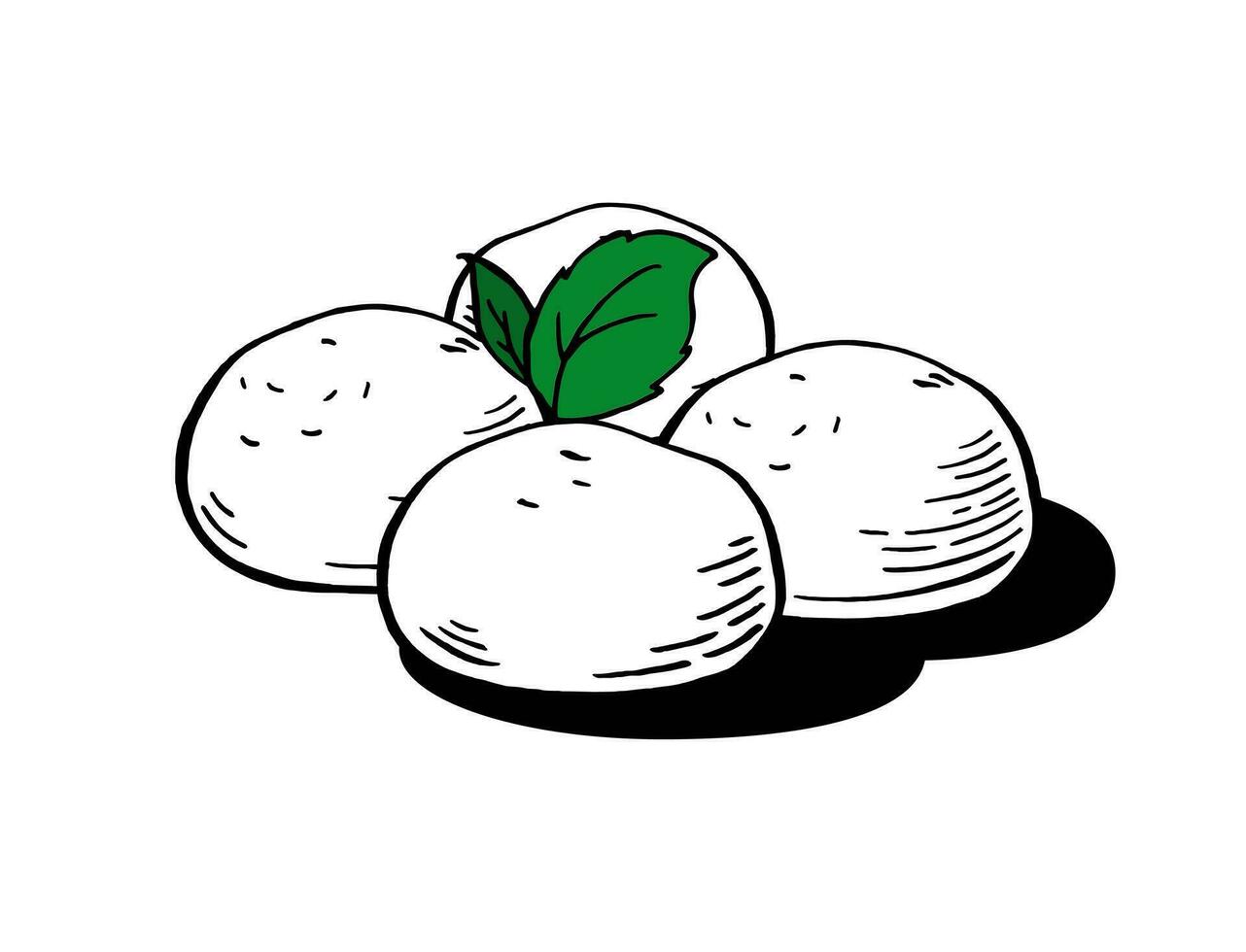 Mozzarella cheese balls for restaurant menus Packaging Vector Illustration Hand drawn