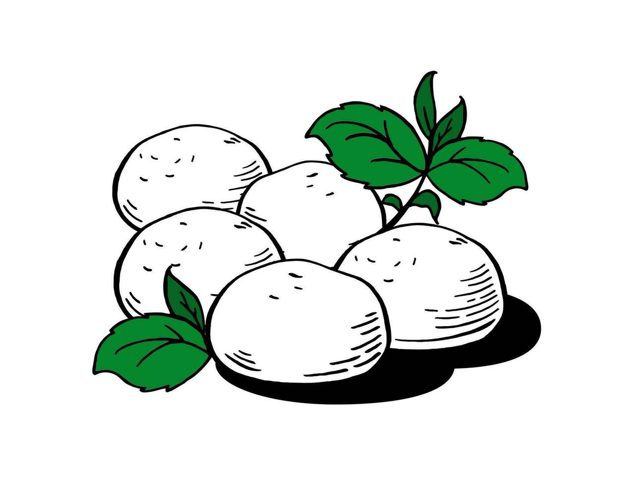 Mozzarella cheese balls for restaurant menus Packaging Vector Illustration Hand drawn