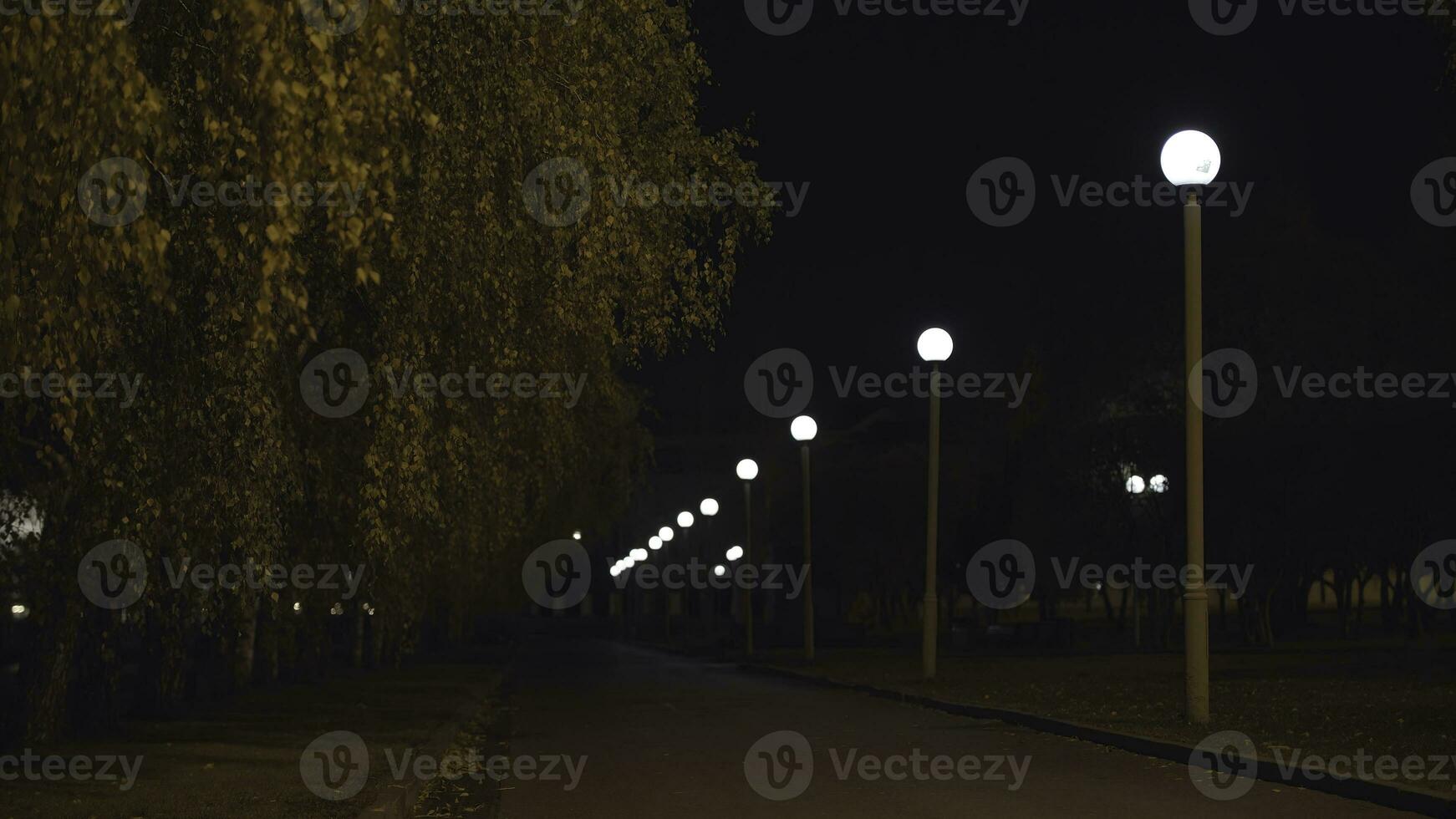 Empty street at night in the light of street lamp. Stock footage. Street lights illuminate the trees and sidewalk. photo