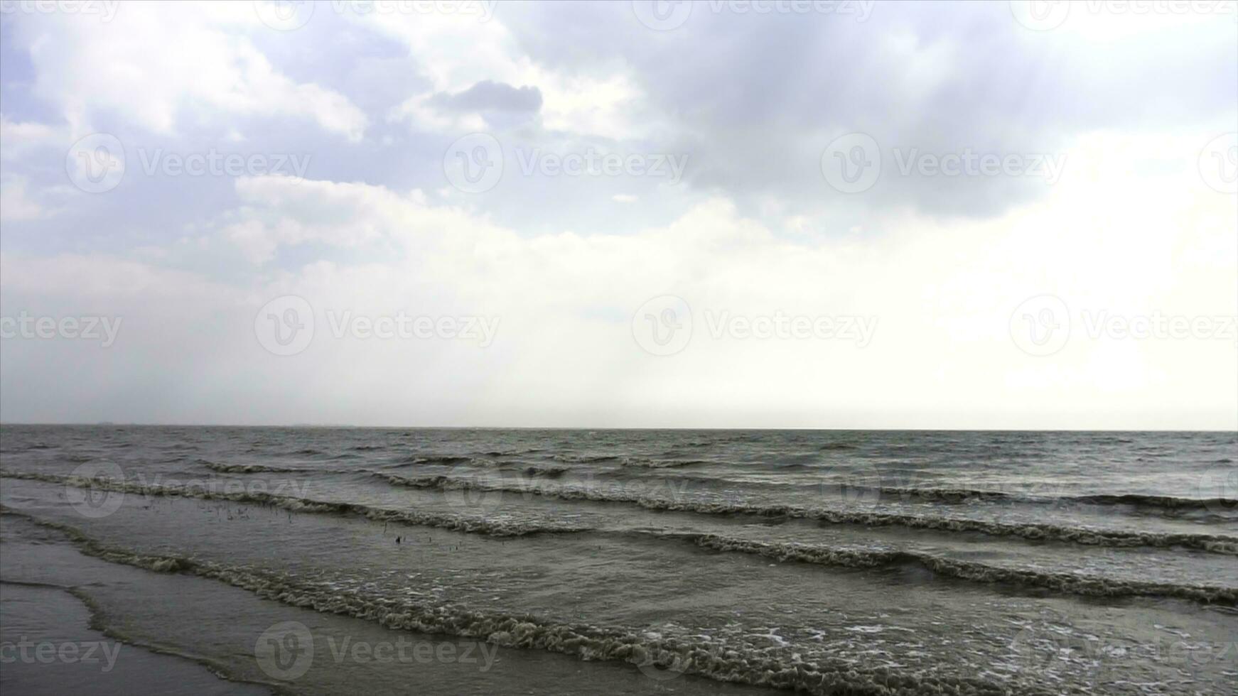 Tree with branches on seashore, waves and sky background. Video. Dead trees create a boneyard or grave yard for trees. Dried branch of pandanus tree against beautiful seascape on background. photo