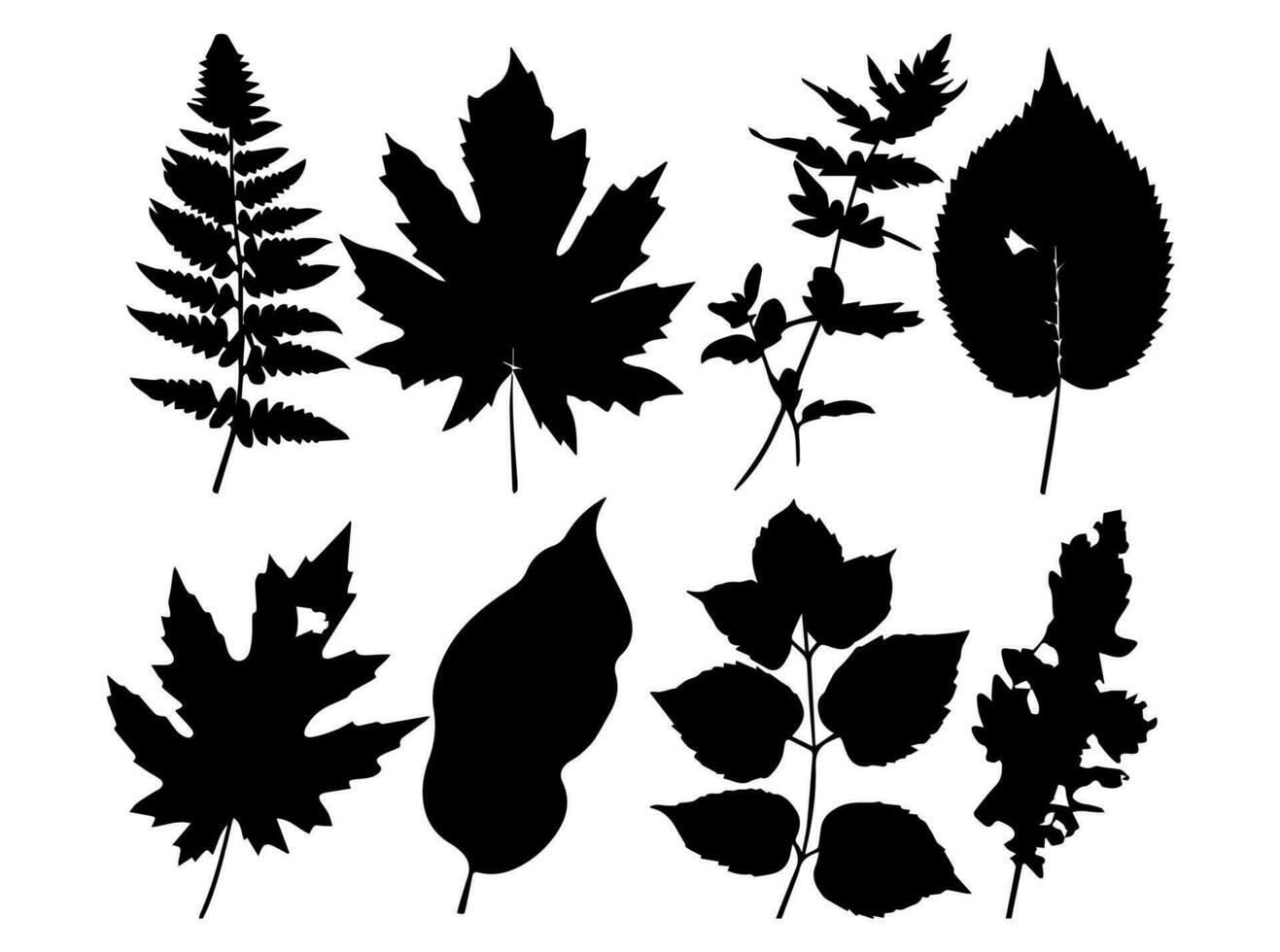 Set of black silhouettes of leaves and flowers. Vector illustration.