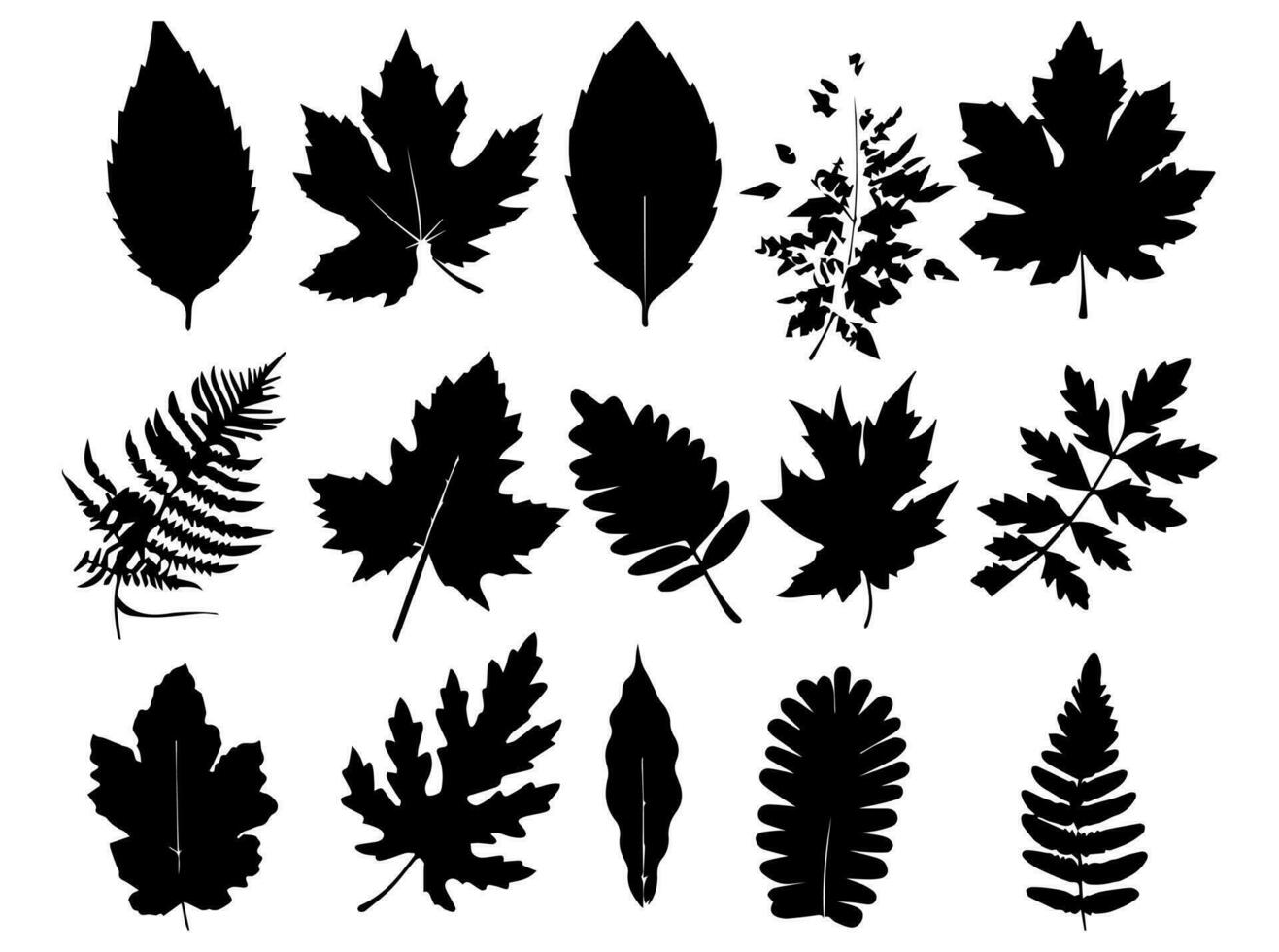 Set of black silhouettes of leaves and flowers. Vector illustration.