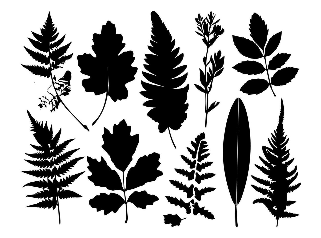 Set of black silhouettes of leaves and flowers. Vector illustration.