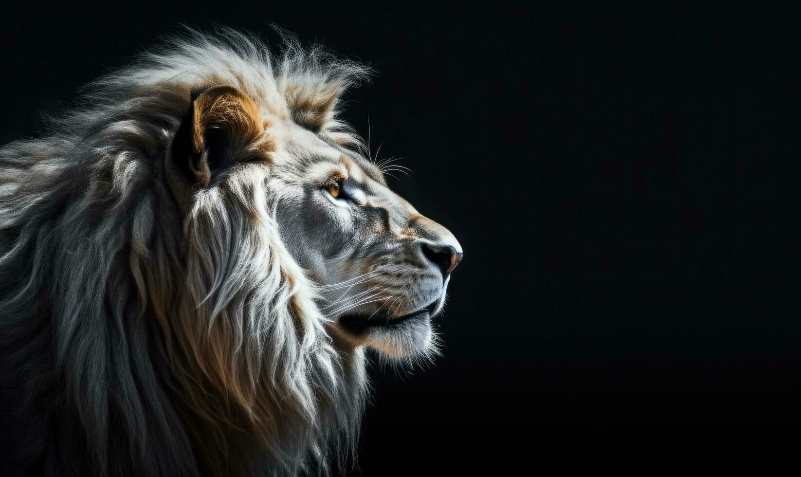 AI generated black background with white lion photo