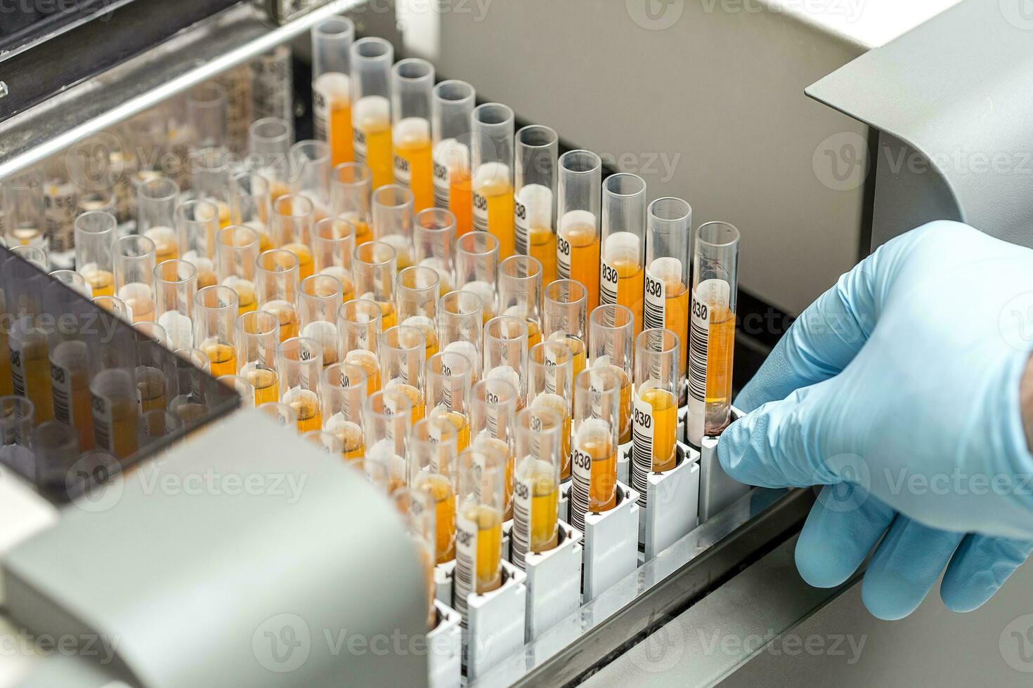 set of Test tubes in the laboratory photo