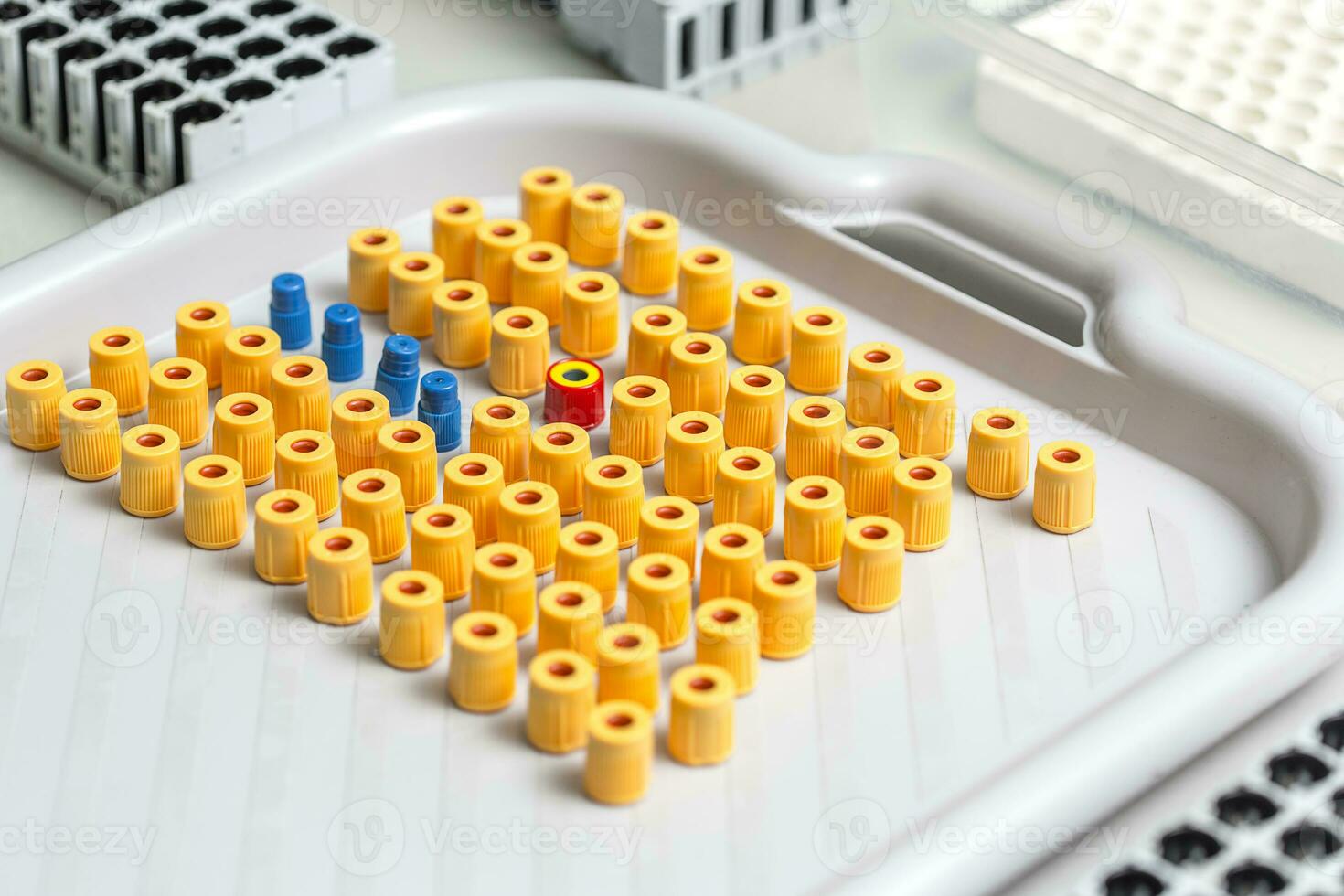 set of Test tubes in the laboratory photo