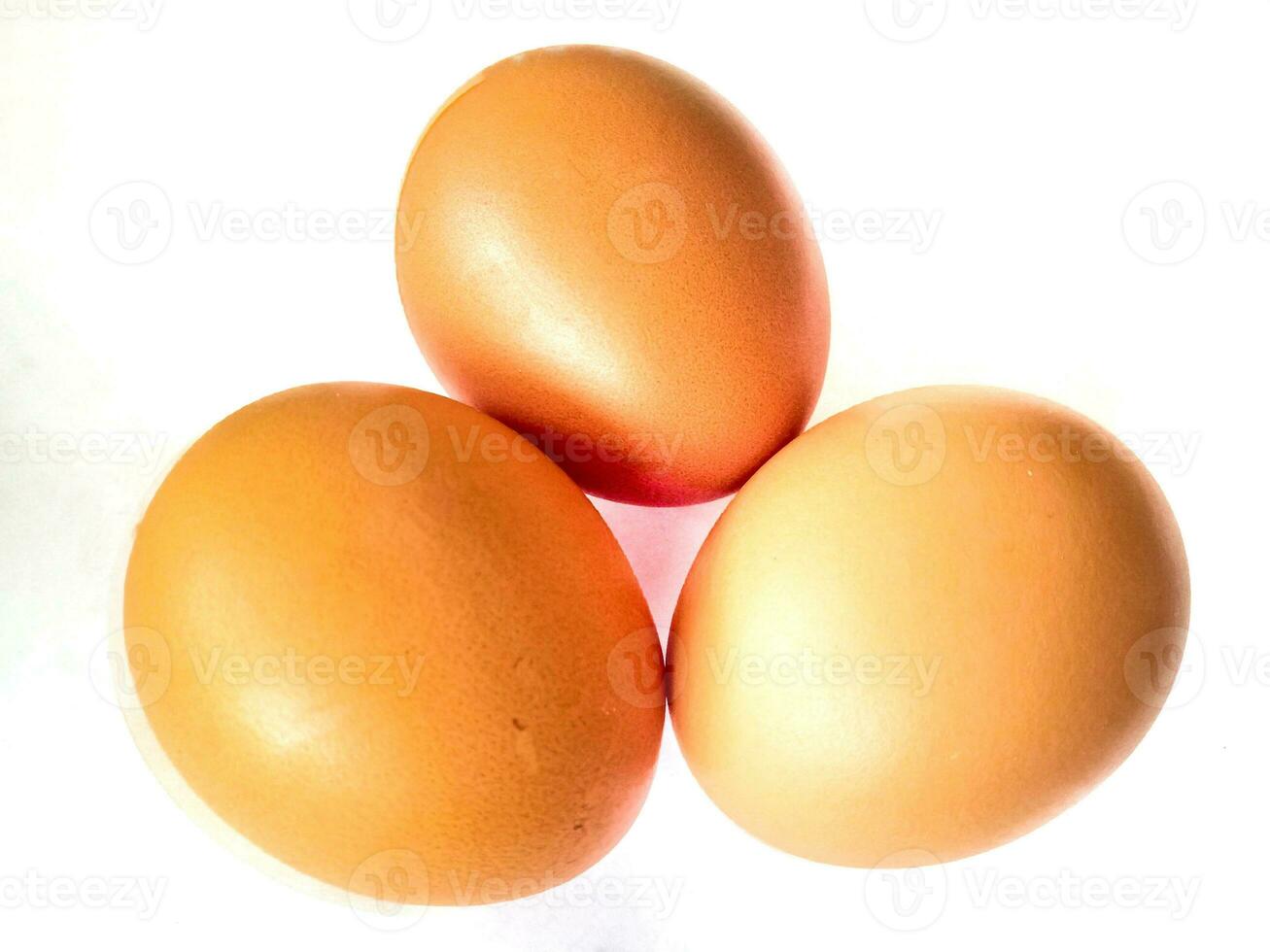 chicken egg isolated on white background stock photo