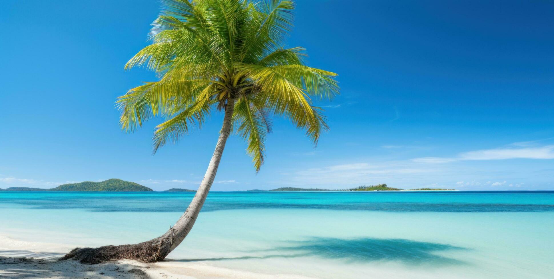 AI generated palm tree on the beach photo