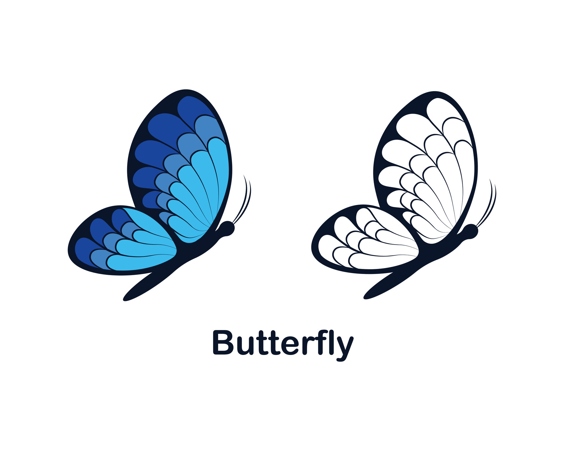 Butterflies. Images of butterflies, colored and not colored. Picture
