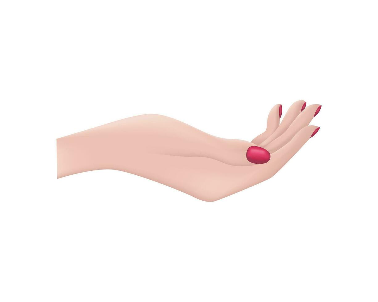 A woman hand. A beautiful girl s hand, palm up. A hand with red painted nails. Vector illustration isolated on a white background