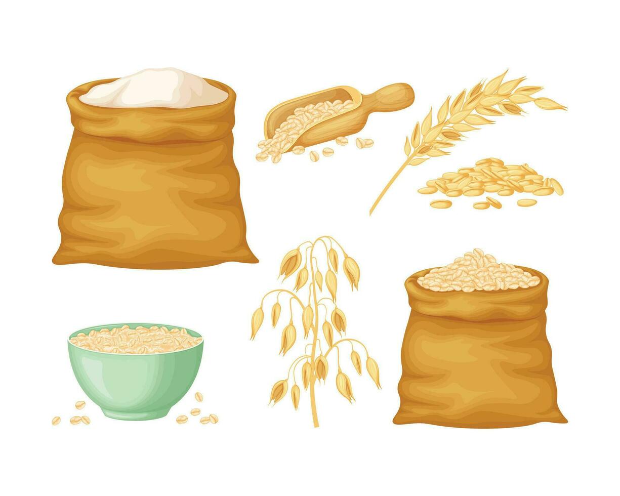Oats. A collection with the image of an ear of oats, oats in a bag, in a wooden scoop and oatmeal in a cup. A bag of oatmeal. Vector illustration