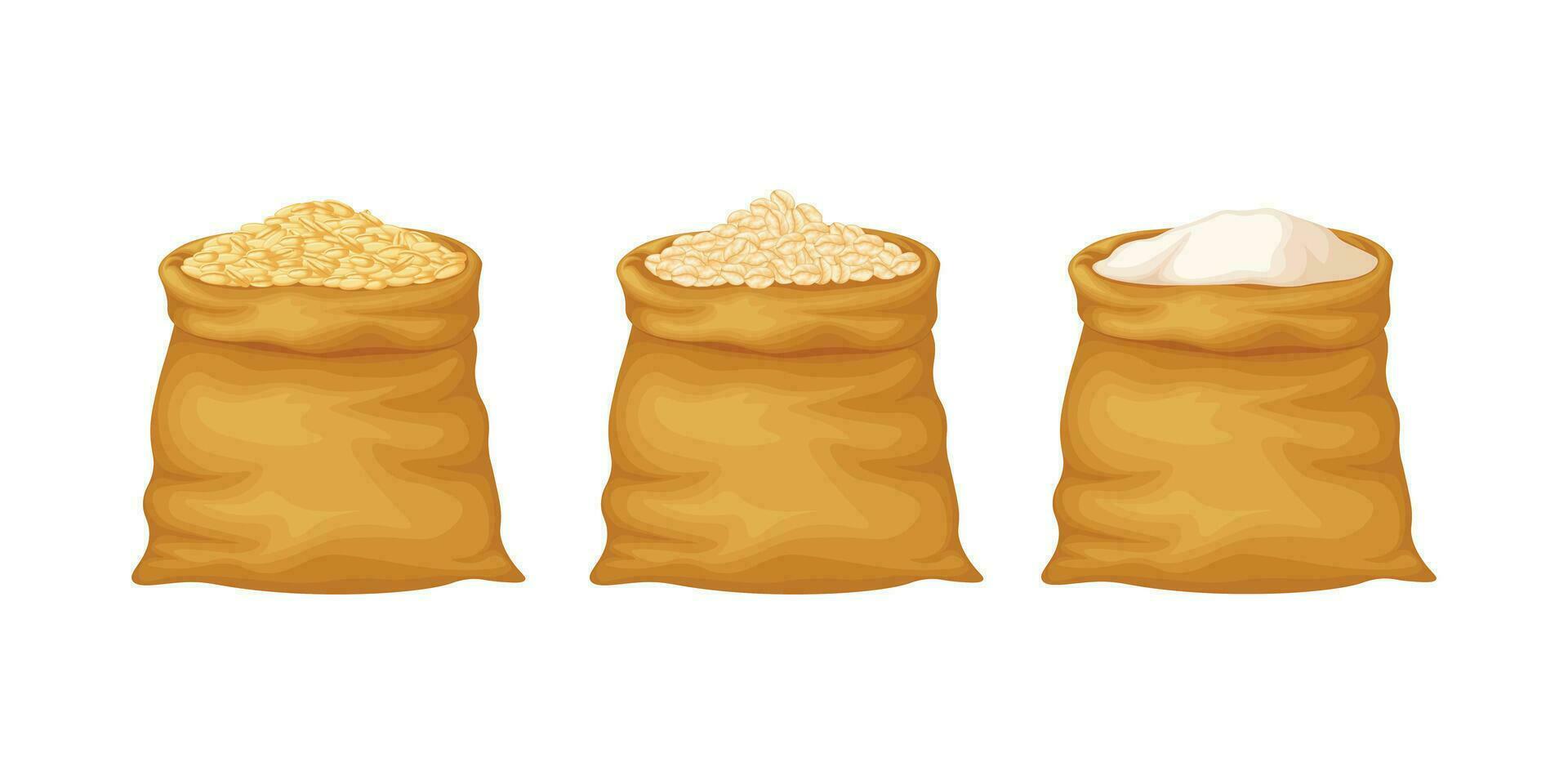 Oats. Bags of oat grains, oat flakes and flour. Cereals in bags. Vector illustration