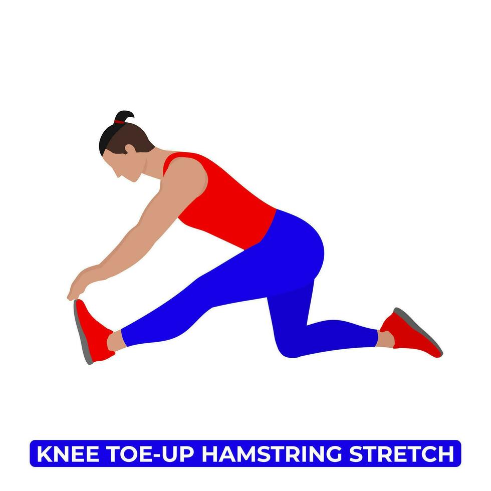 Vector Man Doing Kneeling Toe Up Hamstring Stretch. An Educational Illustration On A White Background.