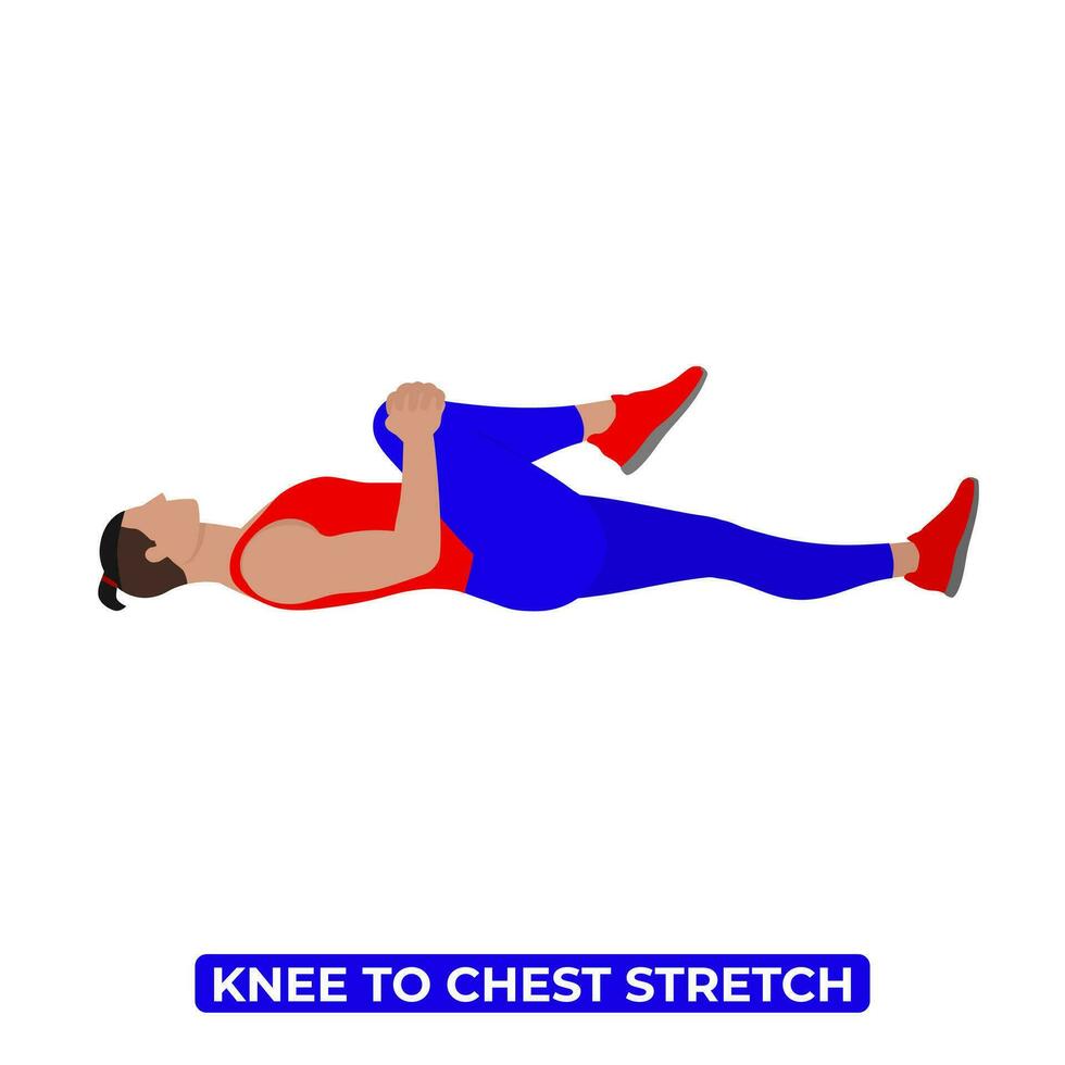 Vector Man Doing Single Knee to Chest Glute Stretch. An Educational Illustration On A White Background.