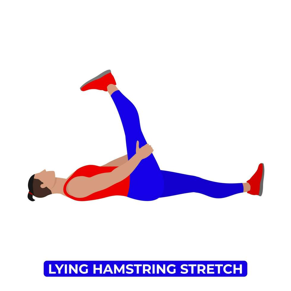 Vector Man Doing Lying Supine Hamstring Stretch. An Educational Illustration On A White Background. 35788291 Vector Art at Vecteezy