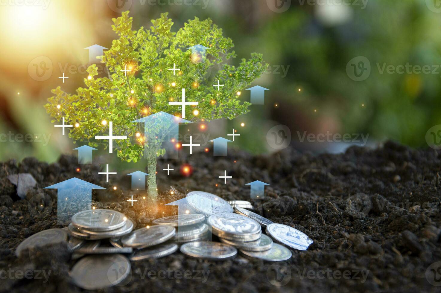 The concept of growing like a big tree Planning and strategizing in the stock market, progress or success of a businessman invest in trading photo