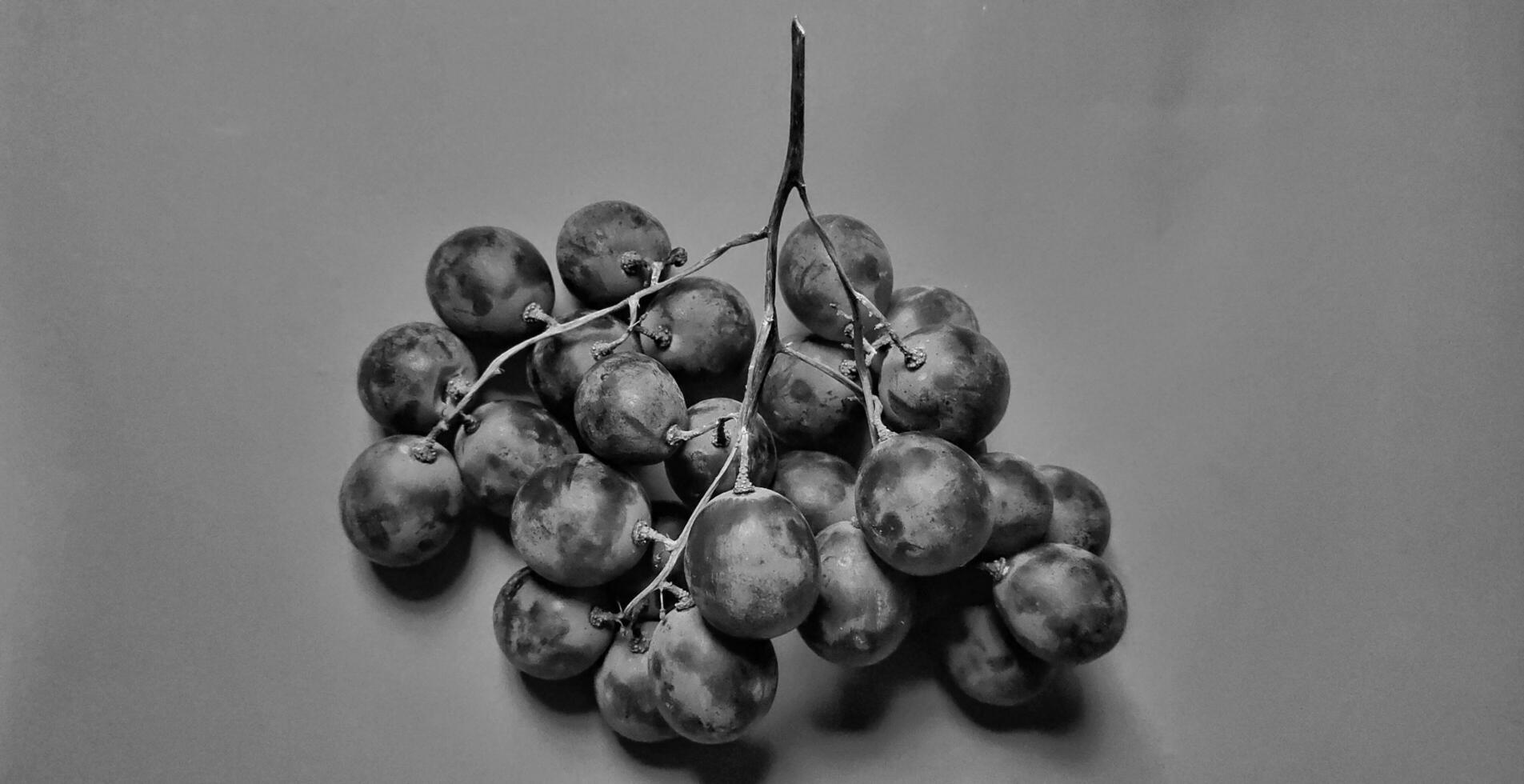 Black and white photo with an abstract photo concept for the background, Portrait a sprig of grapes or vitis vinifera.