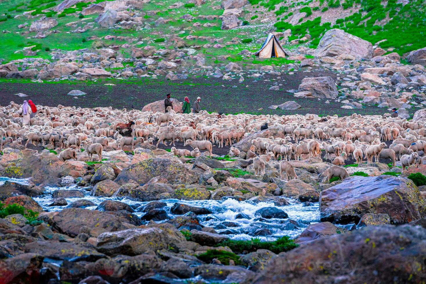 Flock of sheep grazing on the mountain Sheep cuddle together in the cold weather. landscape in kashmir India photo