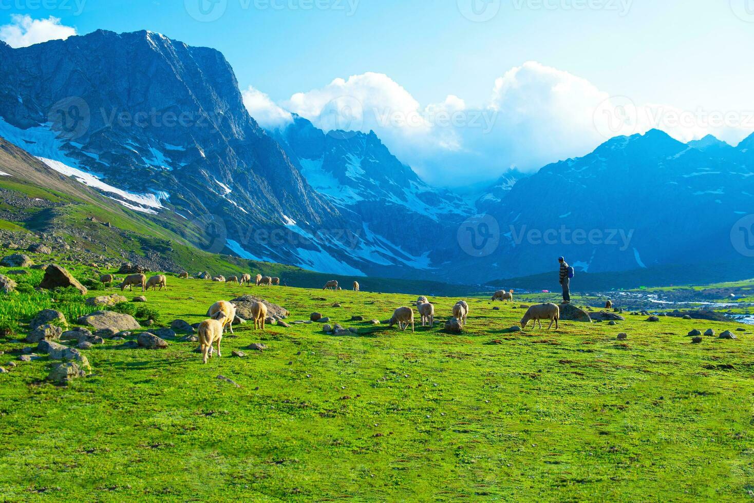 Flock of sheep grazing on the mountain Sheep cuddle together in the cold weather. landscape in kashmir India photo
