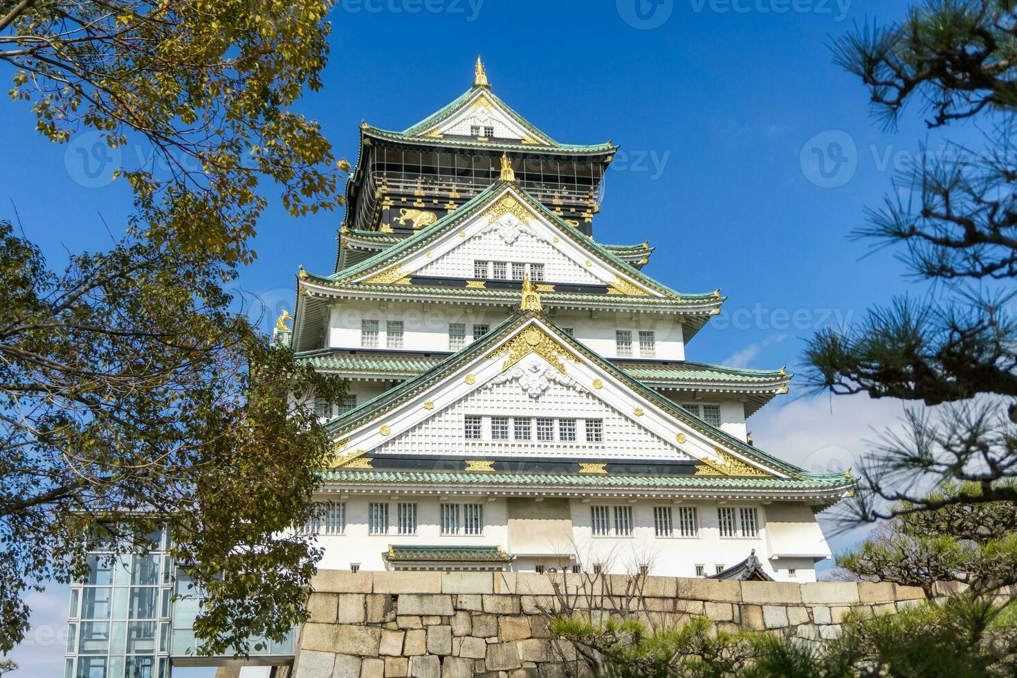 hermosa arquitectura Osaka castillo con árbol foto