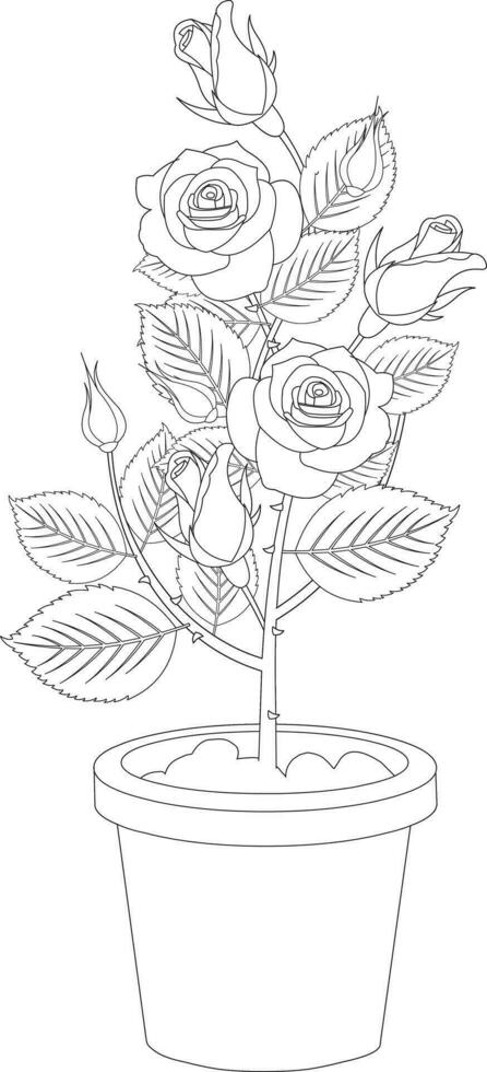 Rose plant outline in a pot vector