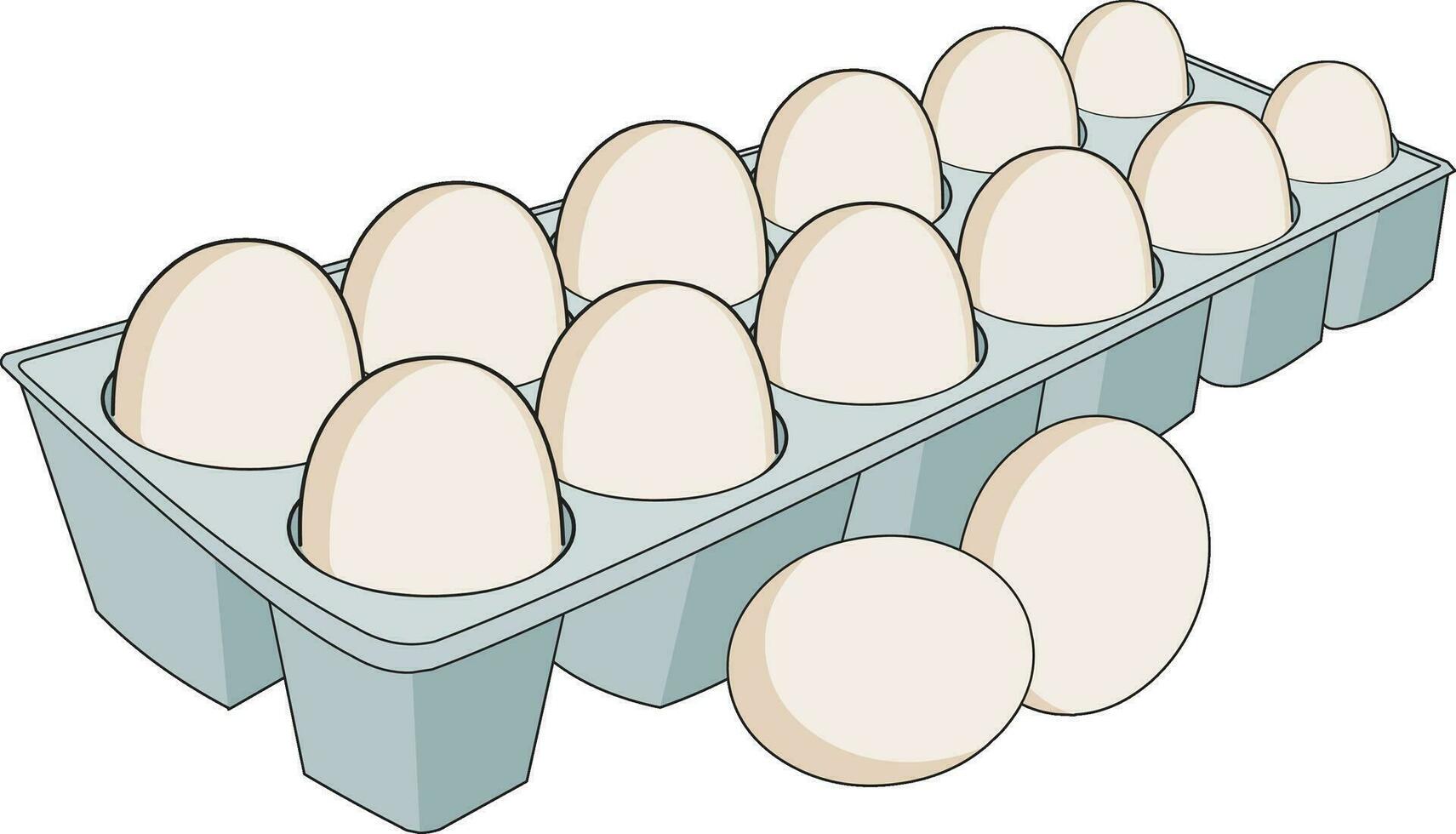 Eggs placed in a tray vector illustration