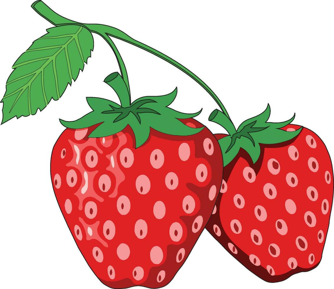 Strawberry isolated on white background vector