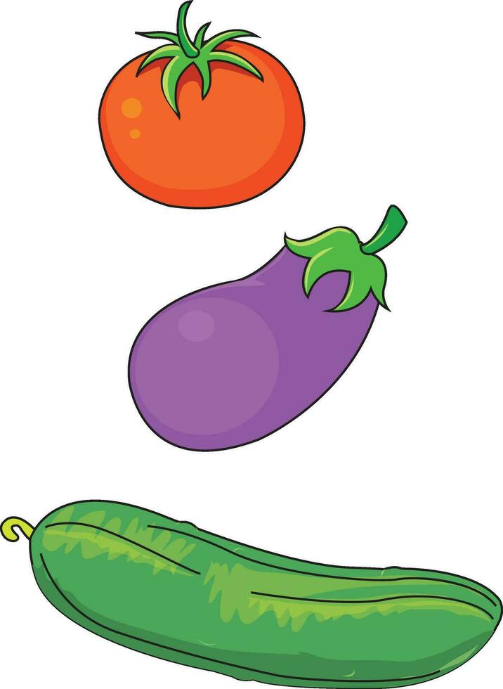 Tomato, brinjal and bottle gourd vector illustration