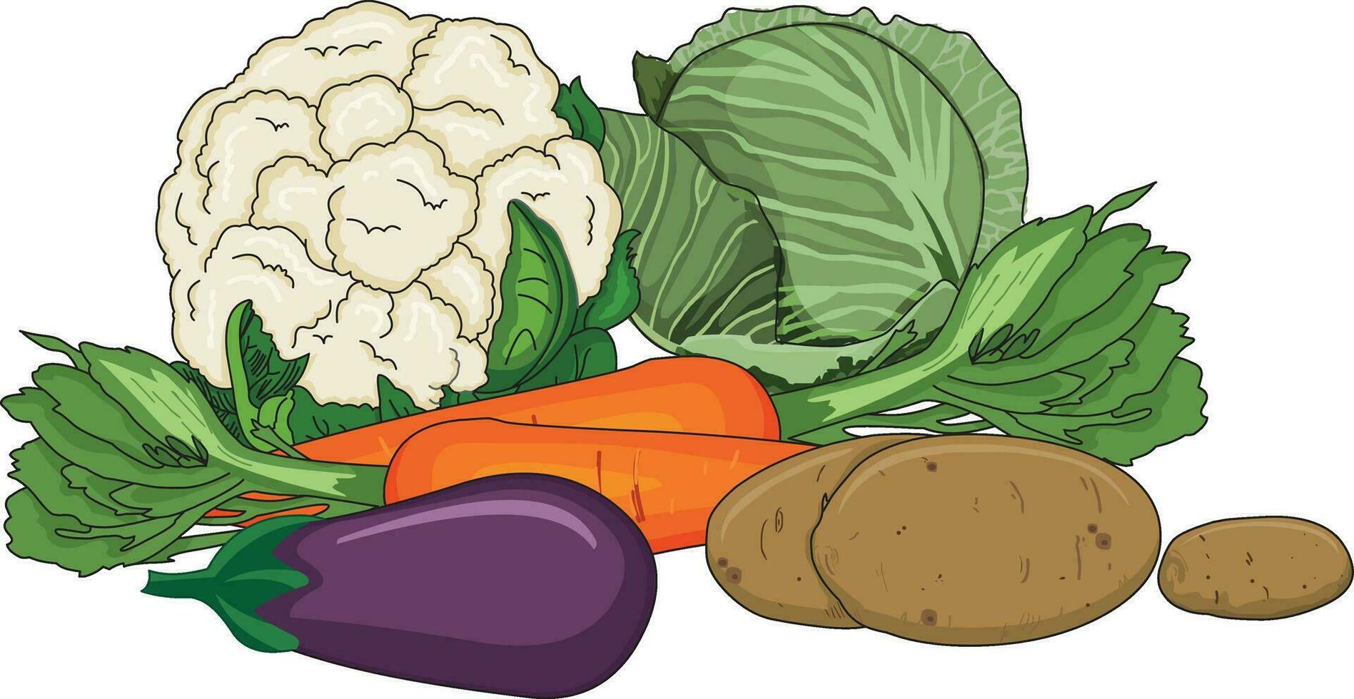 Vector illustration showing brinjal, cauliflower, potato, carrot