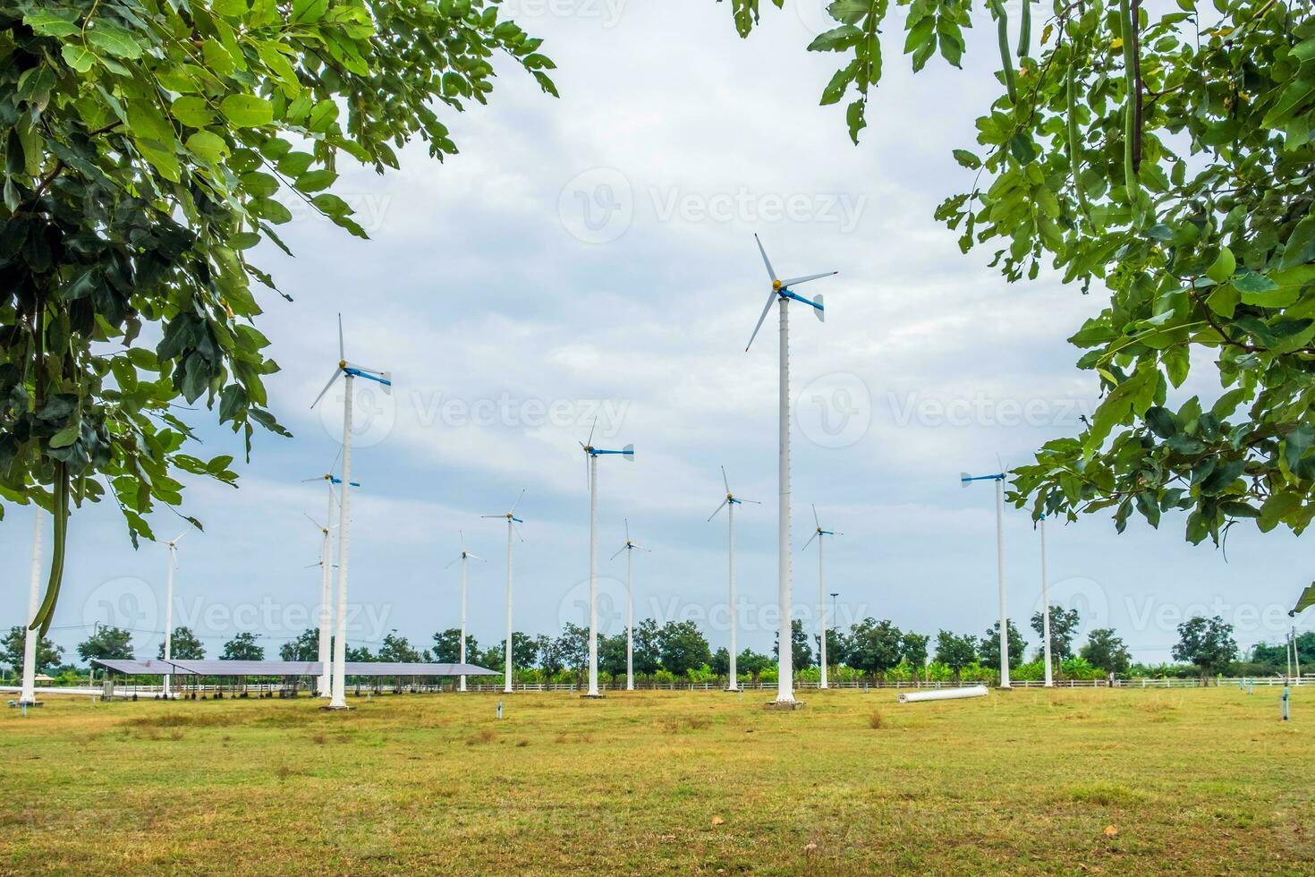 Wind turbines alternative energy in field photo