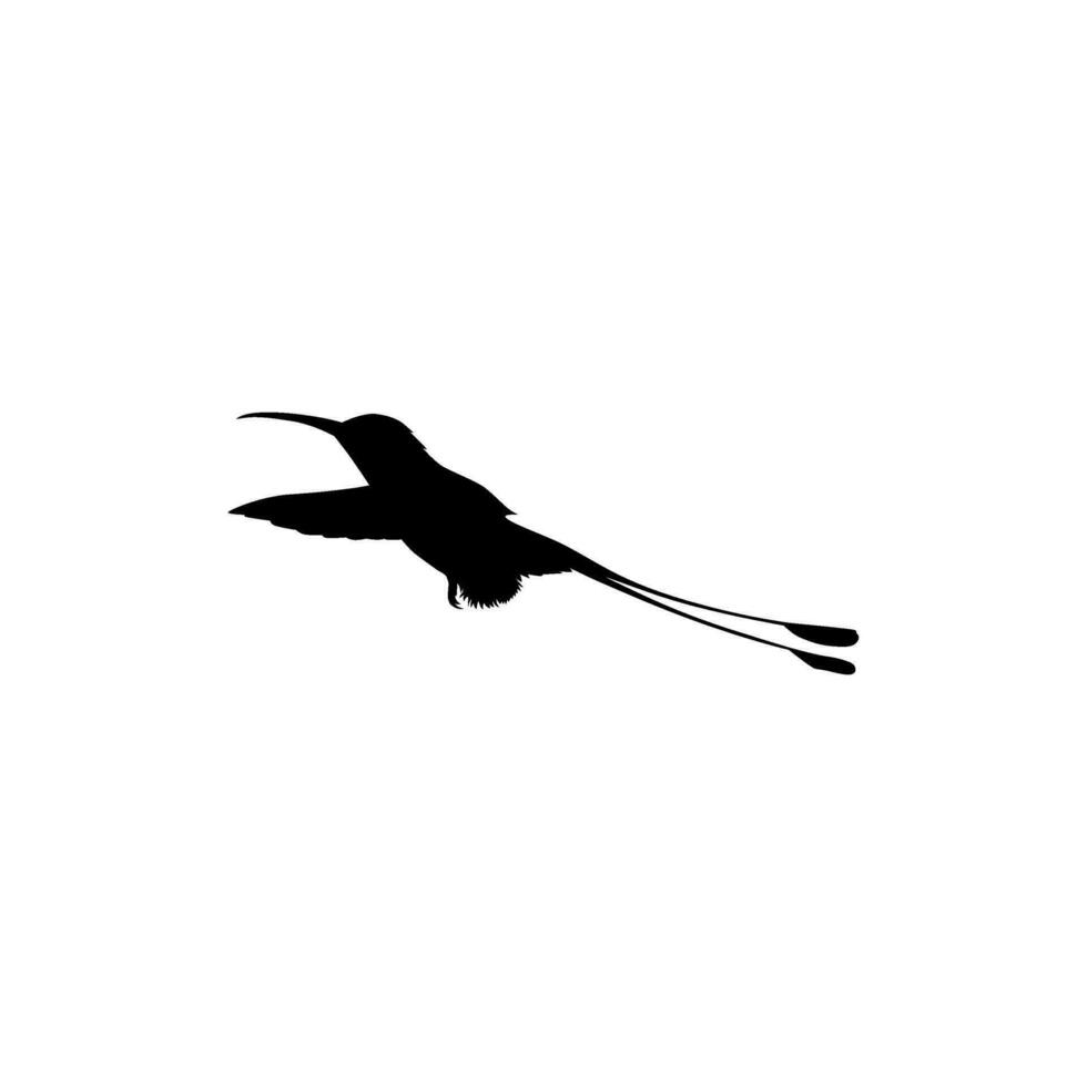 Flying Hummingbird Silhouette, can use Art Illustration, Website, Logo Gram, Pictogram or Graphic Design Element. Vector Illustration