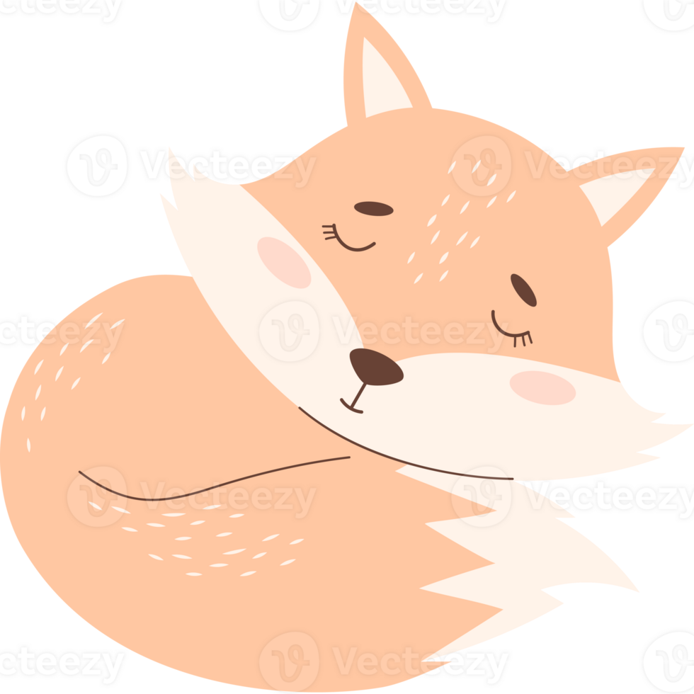 Cute sleeping  fox png