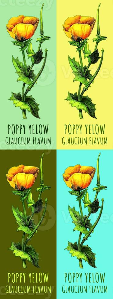 AI generated Created using generative AI. Set of Illustration of POPPY YELOW. Latin name GLAUCIUM FLAVUM. photo