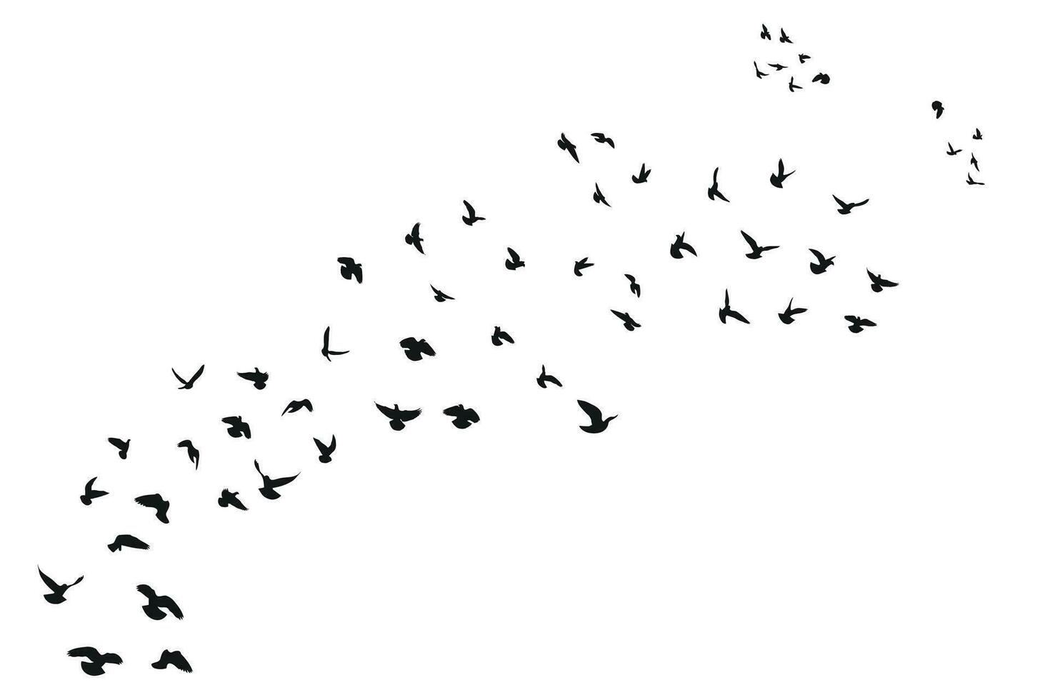Silhouette sketch of a flock of flying forward birds. Takeoff, flying, flight, flutter, hover, soaring, landing vector