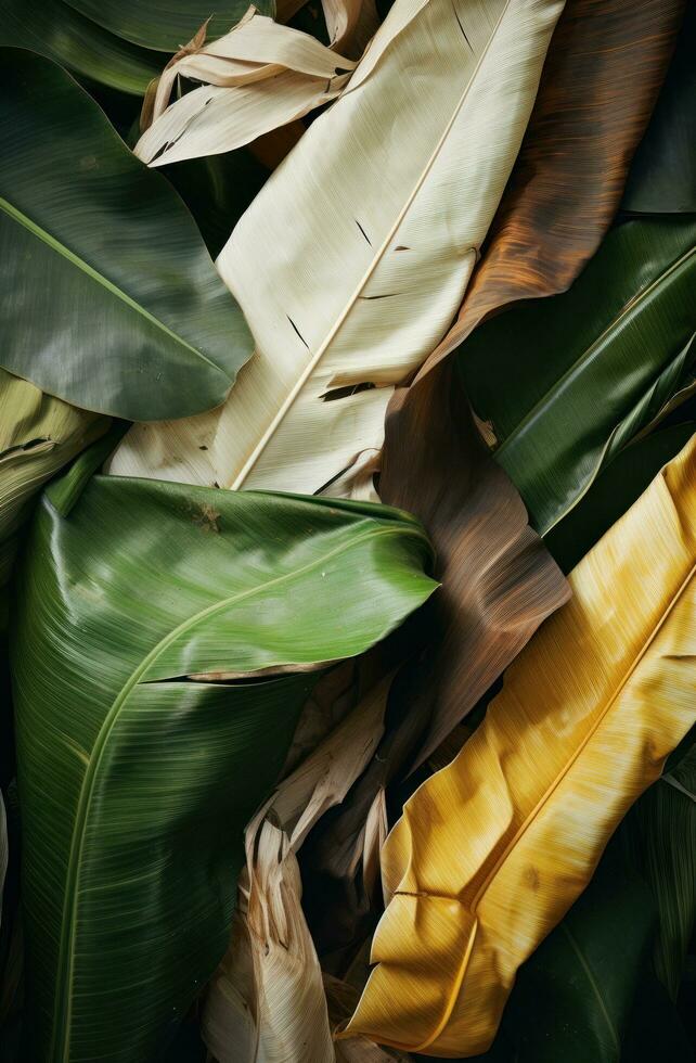 AI generated a close up of some banana leaves and white leaves photo