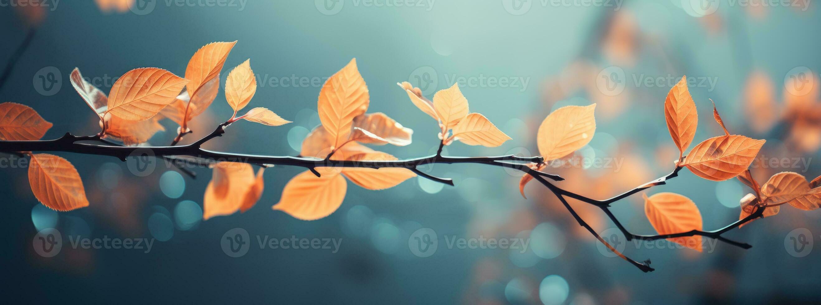 AI generated Autumn nature background with tree branch photo