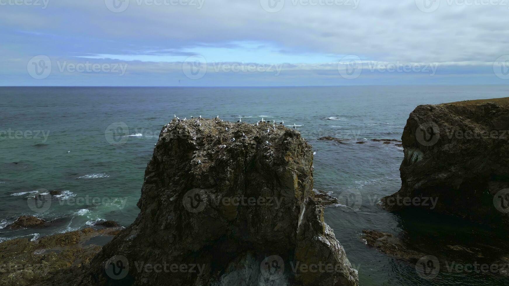Top view of rocky cliff with seagulls on seascape background. Clip. Seagulls sit on top of rocky cliff in sea. Beautiful rocky cliff on north coast with seagulls on background of sea horizon photo