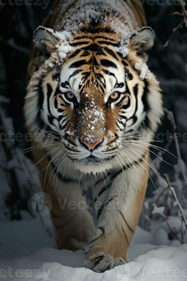 AI generated a Siberian tiger in a snowy landscape photo