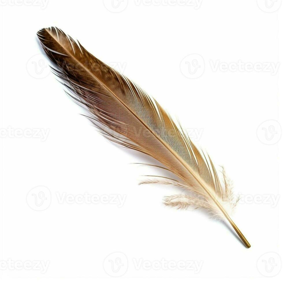 AI generated Feather isolated on white background, created with generative AI photo