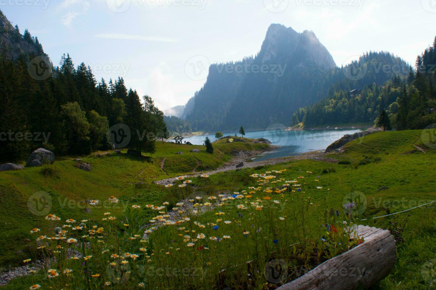 a mountain range in the background photo